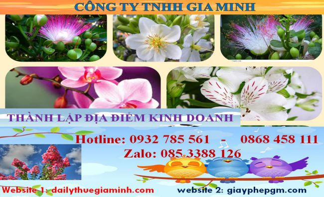 Thành lập địa điểm kinh doanh tại Thị xã Tân Uyên – Hướng dẫn nhanh, trọn gói 4 Thủ tục thành lâp địa điểm kinh doanh tại Thị xã Tân Uyên