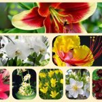 Thành lập địa điểm kinh doanh tại Tiền Giang 3 Muốn thành lâp địa điểm kinh doanh tại Tiền Giang
