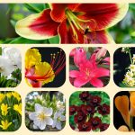 Thành lập địa điểm kinh doanh tại TP Hồ Chí Minh 6 Muốn thành lâp địa điểm kinh doanh tại TP Hồ Chí Minh