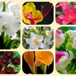 Thành lập địa điểm kinh doanh tại TPHCM 4 Muốn thành lâp địa điểm kinh doanh tại TPHCM