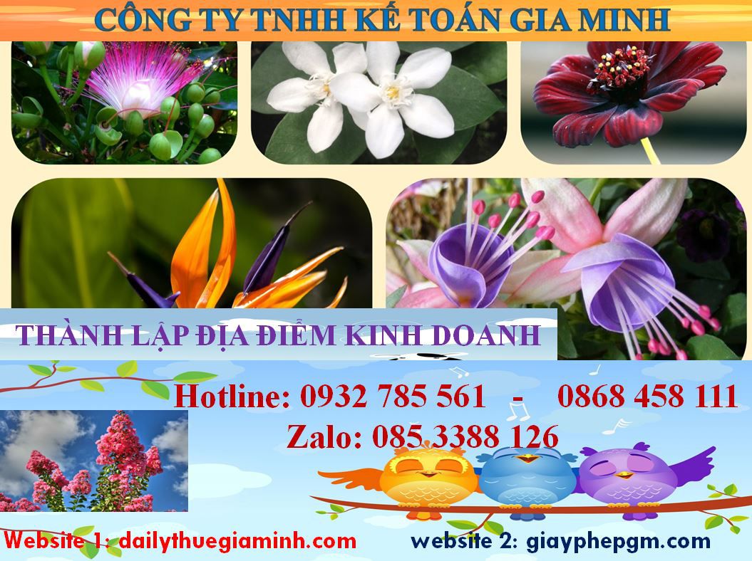 Thành lập địa điểm kinh doanh tại Tuyên Quang 4 Thủ tục thành lâp địa điểm kinh doanh tại Tuyên Quang