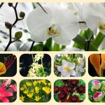 Thành lập địa điểm kinh doanh tại Vĩnh Phúc 3 Muốn thành lâp địa điểm kinh doanh tại Vĩnh Phúc