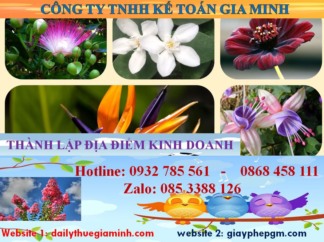 Thành lập địa điểm kinh doanh tại Vĩnh Phúc 1 Thủ tục thành lâp địa điểm kinh doanh tại Vĩnh Phúc
