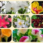 Thành lập địa điểm kinh doanh tại Yên Bái 4 Muốn thành lâp địa điểm kinh doanh tại Yên Bái