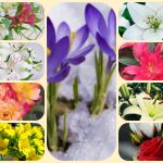 Dịch vụ thành lập doanh nghiệp tại Điện Biên 6 Muốn thành lập doanh nghiệp tại Điện Biên