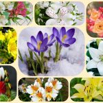 Dịch vụ thành lập doanh nghiệp tại Đồng Nai 6 Muốn thành lập doanh nghiệp tại Đông Nai