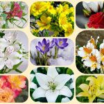 Dịch vụ thành lập doanh nghiệp tại Đông Tháp 6 Muốn thành lập doanh nghiệp tại Đồng Tháp