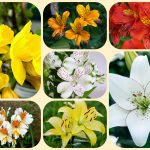 Dịch vụ thành lập doanh nghiệp tại Hà Nam uy tín, trọn gói và nhanh chóng 10 Muốn thành lập doanh nghiệp tại Hà Nam