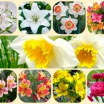 Dịch vụ thành lập doanh nghiệp tại Hải Phòng 6 Muốn thành lập doanh nghiệp tại Hải Phòng