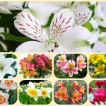 Dịch vụ thành lập doanh nghiệp tại Hòa Bình 6 Muốn thành lập doanh nghiệp tại Hòa Bình