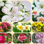 Muốn thành lập doanh nghiệp tại Kiên Giang