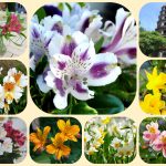 Dịch vụ thành lập doanh nghiệp tại Lạng Sơn 6 Muốn thành lập doanh nghiệp tại Lạng Sơn