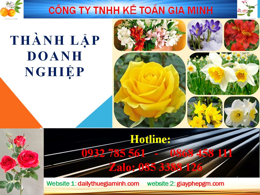 Thủ tục thành lập doanh nghiệp tại Đà Nẵng