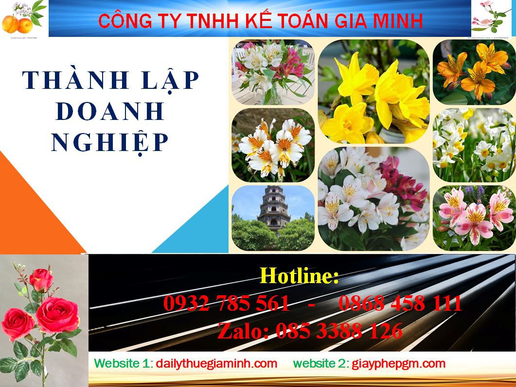Dịch vụ thành lập doanh nghiệp tại Hải Phòng 4 Thủ tục thành lập doanh nghiệp tại Hải Phòng