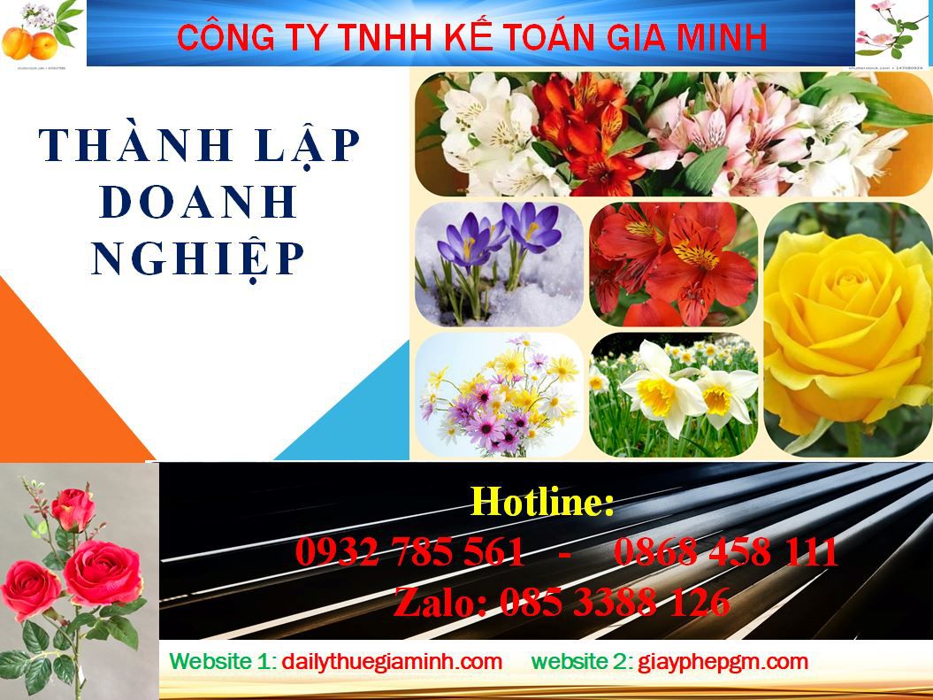 Dịch vụ thành lập doanh nghiệp tại Hòa Bình 4 Thủ tục thành lập doanh nghiệp tại Hòa Bình