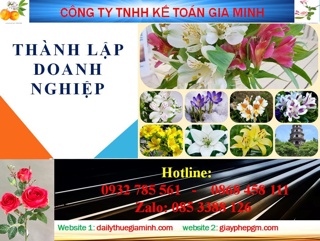 Dịch vụ thành lập doanh nghiệp tại Nam Định 4 Thủ tục thành lập doanh nghiệp tại Nam Định
