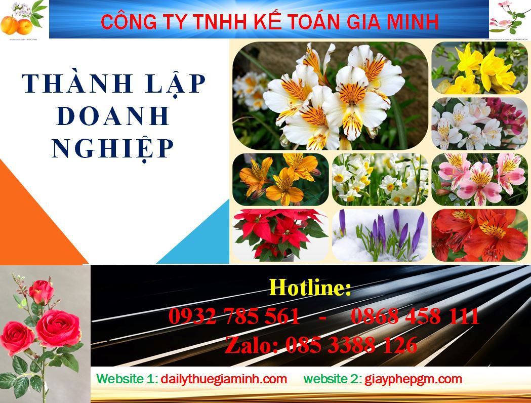 Dịch vụ thành lập doanh nghiệp tại Ninh Bình 4 Thủ tục thành lập doanh nghiệp tại Ninh Bình