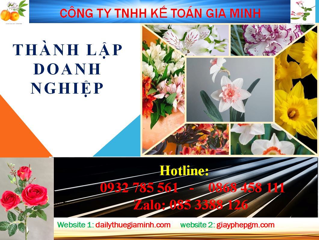 Dịch vụ thành lập doanh nghiệp tại Thành Phố Hồ Chí Minh 4 Thủ tục thành lập doanh nghiệp