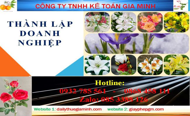 Thủ tục thành lập doanh nghiệp tại Tuyên Quang