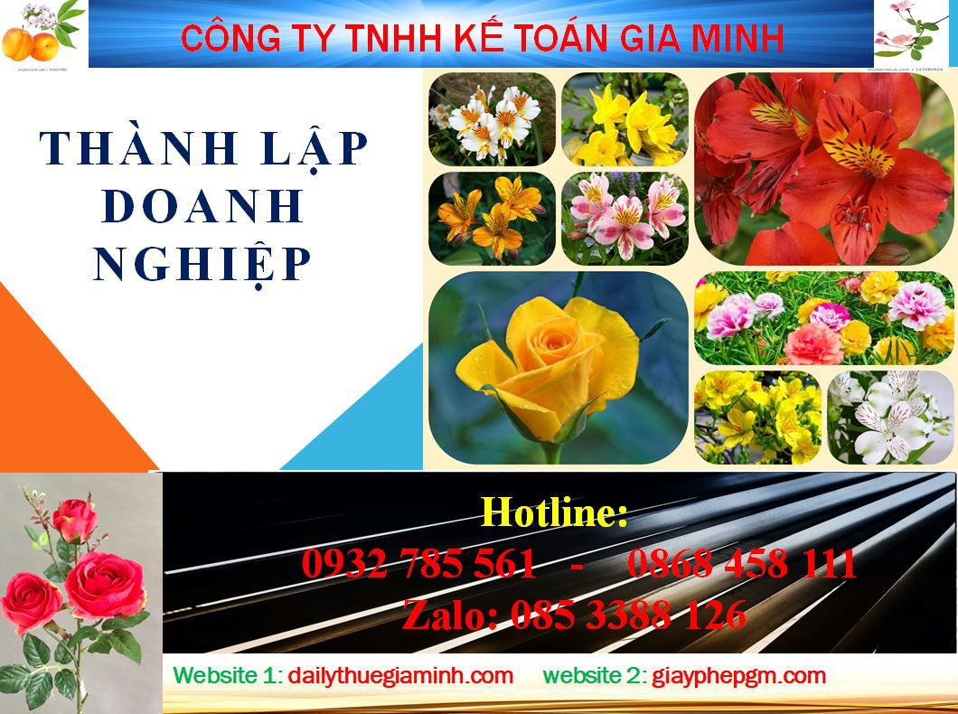 Dịch vụ thành lập doanh nghiệp tại Vĩnh Phúc 4 Thủ tục thành lập doanh nghiệp tại Vĩnh Phúc