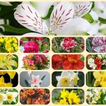 Dịch vụ thành lập doanh nghiệp tại Thanh Hóa 6 Muốn thành lập doanh nghiệp tại Thanh Hóa
