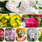 Dịch vụ thành lập doanh nghiệp tại Thành Phố Hồ Chí Minh 6 Muốn thành lập doanh nghiệp