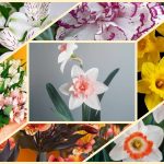 Muốn thành lập doanh nghiệp tại Tuyên Quang