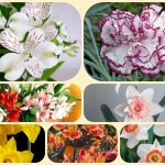 Dịch vụ thành lập doanh nghiệp tại Vĩnh Phúc 6 Muốn thành lập doanh nghiệp tại Vĩnh Phúc