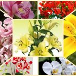 Thành lập doanh nghiệp tư nhân tại Bắc Giang 3 Muốn thành lập doanh nghiệp tư nhân Bắc Giang