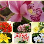 Thành lập doanh nghiệp tư nhân tại Bắc Kạn 3 Chi phí thành lập doanh nghiệp tư nhân tại Bắc Giang