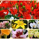 Thành lập doanh nghiệp tư nhân tại Bến Tre 3 Muốn thành lập doanh nghiệp tư nhân Bến Tre