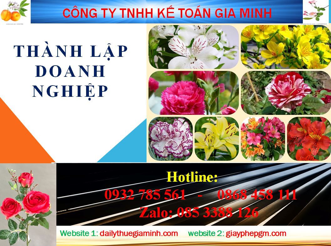 Thành lập doanh nghiệp tư nhân tại Bến Tre 1 Thủ tục thành lập doanh nghiệp tư nhân tại Bến Tre