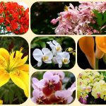Thành lập doanh nghiệp tư nhân tại Bình Định 3 Muốn thành lập doanh nghiệp tư nhân Bình Định