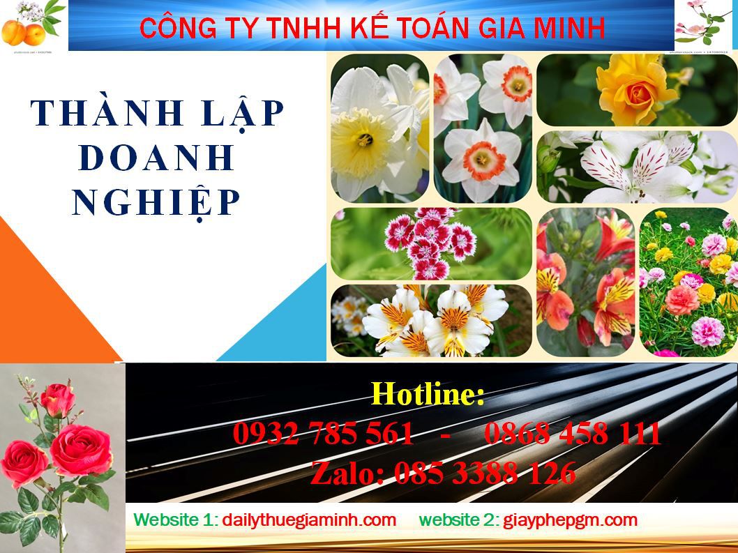 Thành lập doanh nghiệp tư nhân tại Bình Định 1 Thủ tục thành lập doanh nghiệp tư nhân tại Bình Định