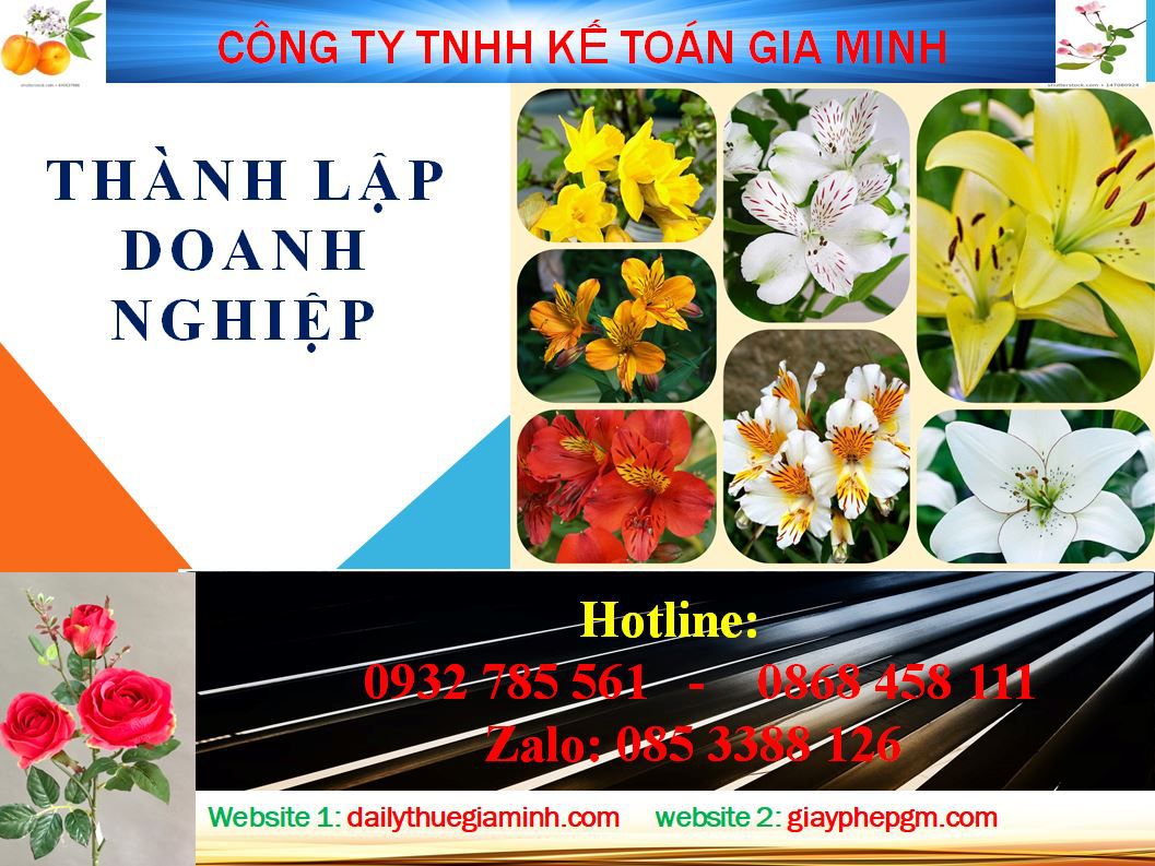 Thành lập doanh nghiệp tư nhân tại Điện Biên 1 Thủ tục thành lập doanh nghiệp tư nhân tại Điện Biên