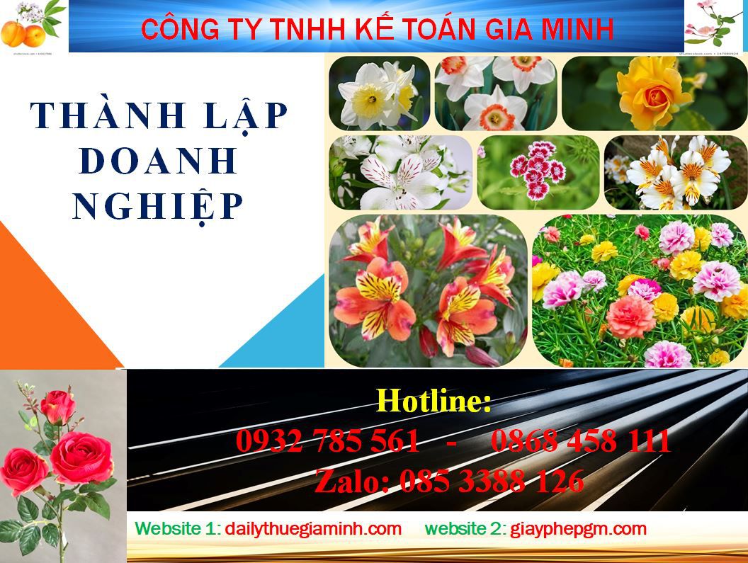 Thành lập doanh nghiệp tư nhân tại Hải Dương 1 Thủ tục thành lập doanh nghiệp tư nhân tại Hải Dương