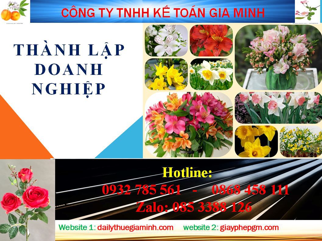 Thành lập doanh nghiệp tư nhân tại Hải Phòng 4 Thủ tục thành lập doanh nghiệp tư nhân tại Hải Phòng