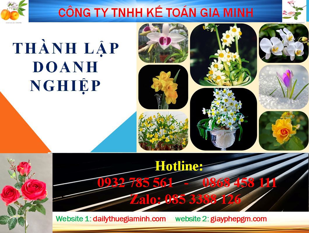 Thành lập doanh nghiệp tư nhân tại Hòa Bình 1 Thủ tục thành lập doanh nghiệp tư nhân tại Hòa Bình