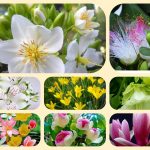 Thành lập doanh nghiệp tư nhân tại Huế 6 Muốn thành lập doanh nghiệp tư nhân Huế