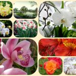 Thành lập doanh nghiệp tư nhân tại Huyện Cần Giờ 6 Muốn thành lập doanh nghiệp tư nhân tại Huyện Cần Giờ