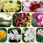 Thành lập doanh nghiệp tư nhân tại Huyện Củ Chi 6 Muốn thành lập doanh nghiệp tư nhân tại Huyện Củ Chi
