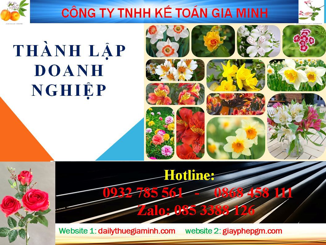 Thành lập doanh nghiệp tư nhân tại Huyện Củ Chi 4 Thủ tục thành lập doanh nghiệp tư nhân tại Huyện Củ Chi