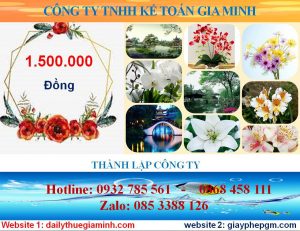 Thành lập doanh nghiệp tư nhân tại Huyện Dầu Tiếng 5 Chi phí thành lập doanh nghiệp tư nhân ở Huyện Dầu Tiến