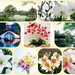 Thành lập doanh nghiệp tư nhân tại Huyện Dầu Tiếng 6 Muốn thành lập doanh nghiệp tư nhân tại Huyện Dầu Tiếng