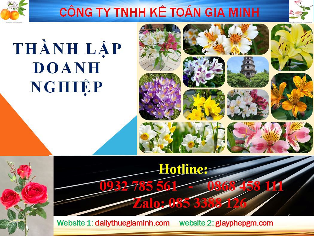 Thành lập doanh nghiệp tư nhân tại Nam Định 1 Thủ tục thành lập doanh nghiệp tư nhân tại Nam Định