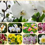 Thành lập doanh nghiệp tư nhân tại Quận Nam Từ Liêm 6 Muốn thành lập doanh nghiệp tư nhân tại Quận Nam Từ Liêm