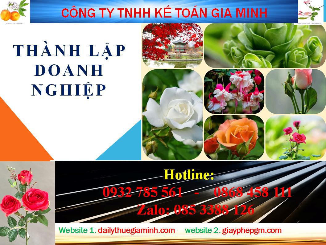 Thành lập doanh nghiệp tư nhân tại Thái Bình 4 Thủ tục thành lập Doanh nghiệp tư nhân tại Thái Bình