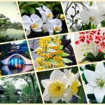 Thành lập doanh nghiệp tư nhân tại Thị xã Bến Cát 6 Muốn thành lập doanh nghiệp tư nhân tại Thị xã Bến Cát