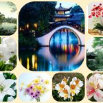 Thành lập doanh nghiệp tư nhân tại Thị xã Dĩ An 6 Muốn thành lập doanh nghiệp tư nhân tại Thị xã Dĩ An