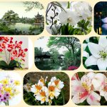 Thành lập doanh nghiệp tư nhân tại Thị xã Tân Uyên 6 Muốn thành lập doanh nghiệp tư nhân tại Thị xã Tân Uyên